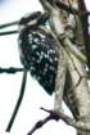 dsc04648_small.jpg