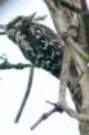dsc04649_small.jpg