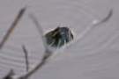 dsc04729_small.jpg