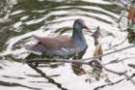 dsc04731_small.jpg