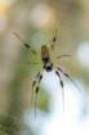dsc04733_small.jpg