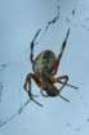 dsc04740_small.jpg
