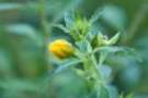 dsc04741_small.jpg