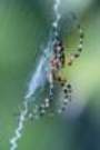 dsc04742_small.jpg