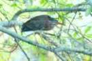 dsc04758_small.jpg