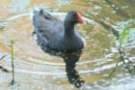 dsc04844_small.jpg