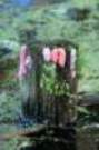 dsc04892_small.jpg