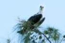 dsc04915_small.jpg