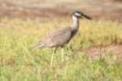 dsc04953_small.jpg