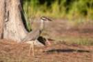 dsc04956_small.jpg