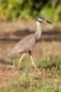 dsc04959_small.jpg