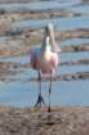dsc04993_small.jpg
