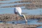 dsc04994_small.jpg