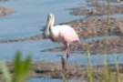 dsc04995_small.jpg