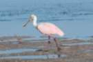 dsc04996_small.jpg