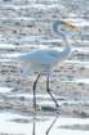 dsc05009_small.jpg