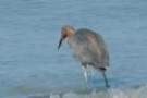 dsc05020_small.jpg
