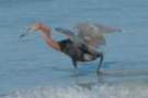 dsc05037_small.jpg