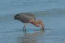 dsc05044_small.jpg