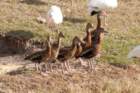dsc059081_small.jpg