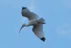dsc059456_small.jpg