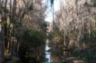 dsc0603113_small.jpg