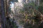 dsc0603714_small.jpg