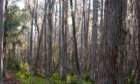 dsc0603815_small.jpg