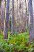 dsc0604419_small.jpg