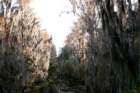 dsc0604620_small.jpg