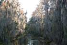 dsc0604821_small.jpg