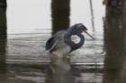 dsc06244_small.jpg