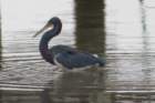 dsc06247_small.jpg