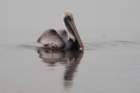 dsc06249_small.jpg