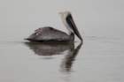 dsc06250_small.jpg
