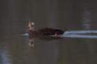 dsc06265_small.jpg
