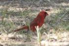 dsc06939_small.jpg