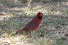 dsc06940_small.jpg