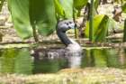 dsc06959_small.jpg