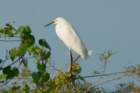 dsc01552_small.jpg