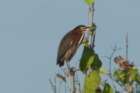dsc01556_small.jpg
