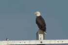 dsc01565_small.jpg
