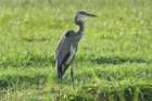 dsc01577_small.jpg