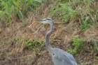dsc01600_small.jpg