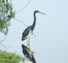dsc01605_small.jpg