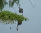 dsc01608_small.jpg