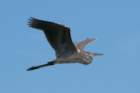 dsc07554_small.jpg
