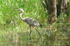 dsc07590_small.jpg