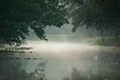 sawgrass_lake_index.jpg
