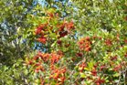 dsc01631_small.jpg